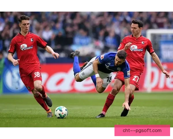 弗赖堡主场草坪获球员协会高度赞誉质量堪称德甲典范