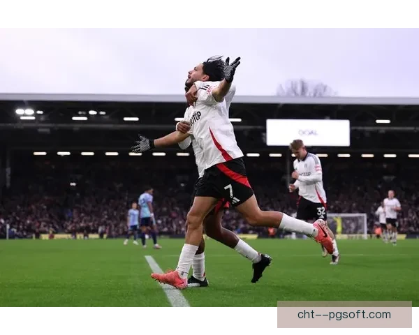 维萨英超主场上演惊艳倒钩球全场欢呼沸腾